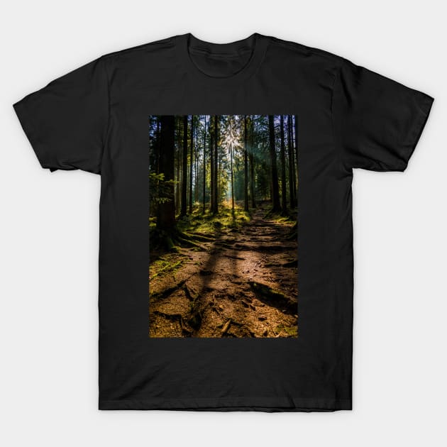 Black Forest near Baiersbronn, Germany T-Shirt by mbangert